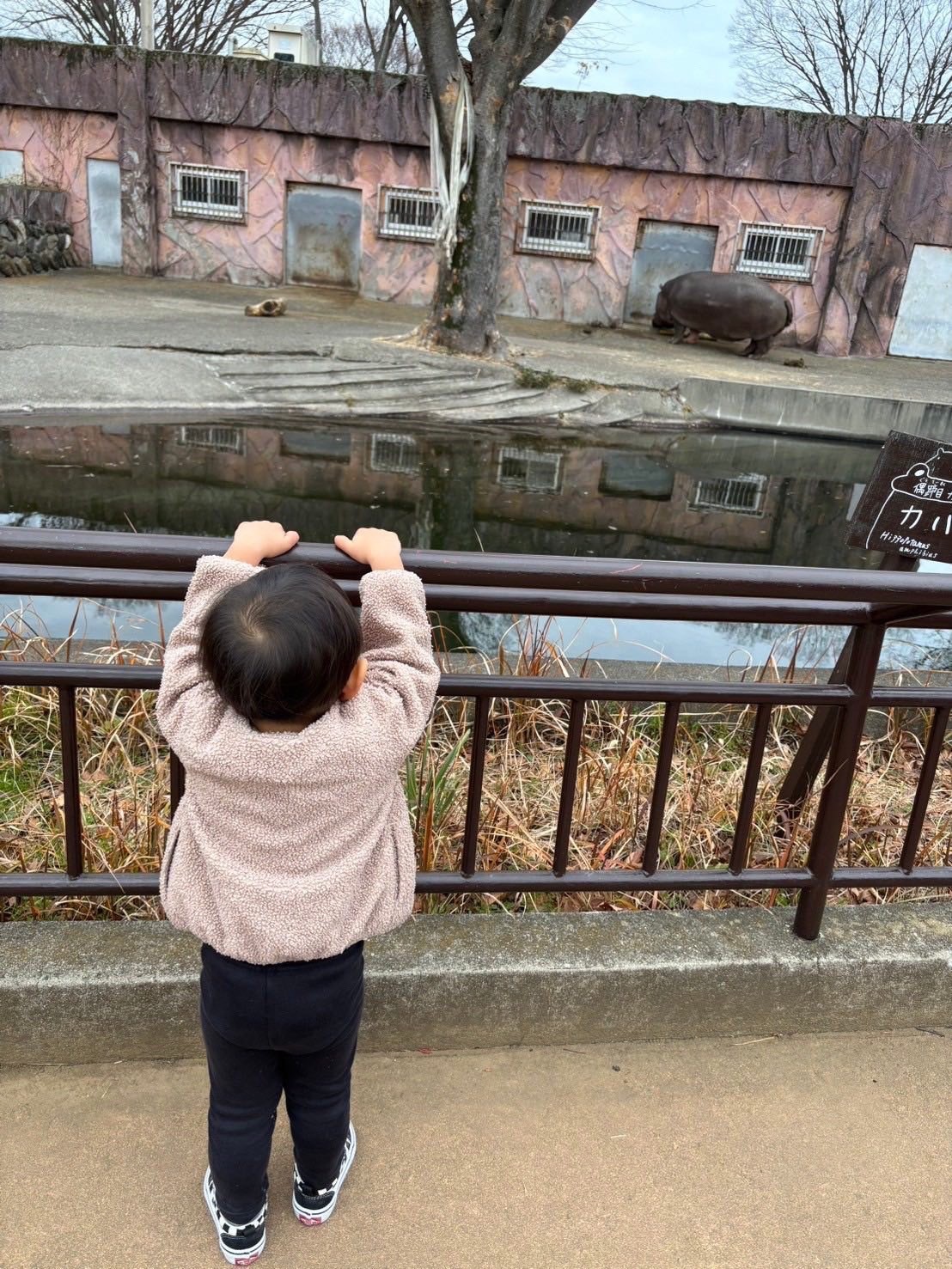 動物園で楽しむ子供